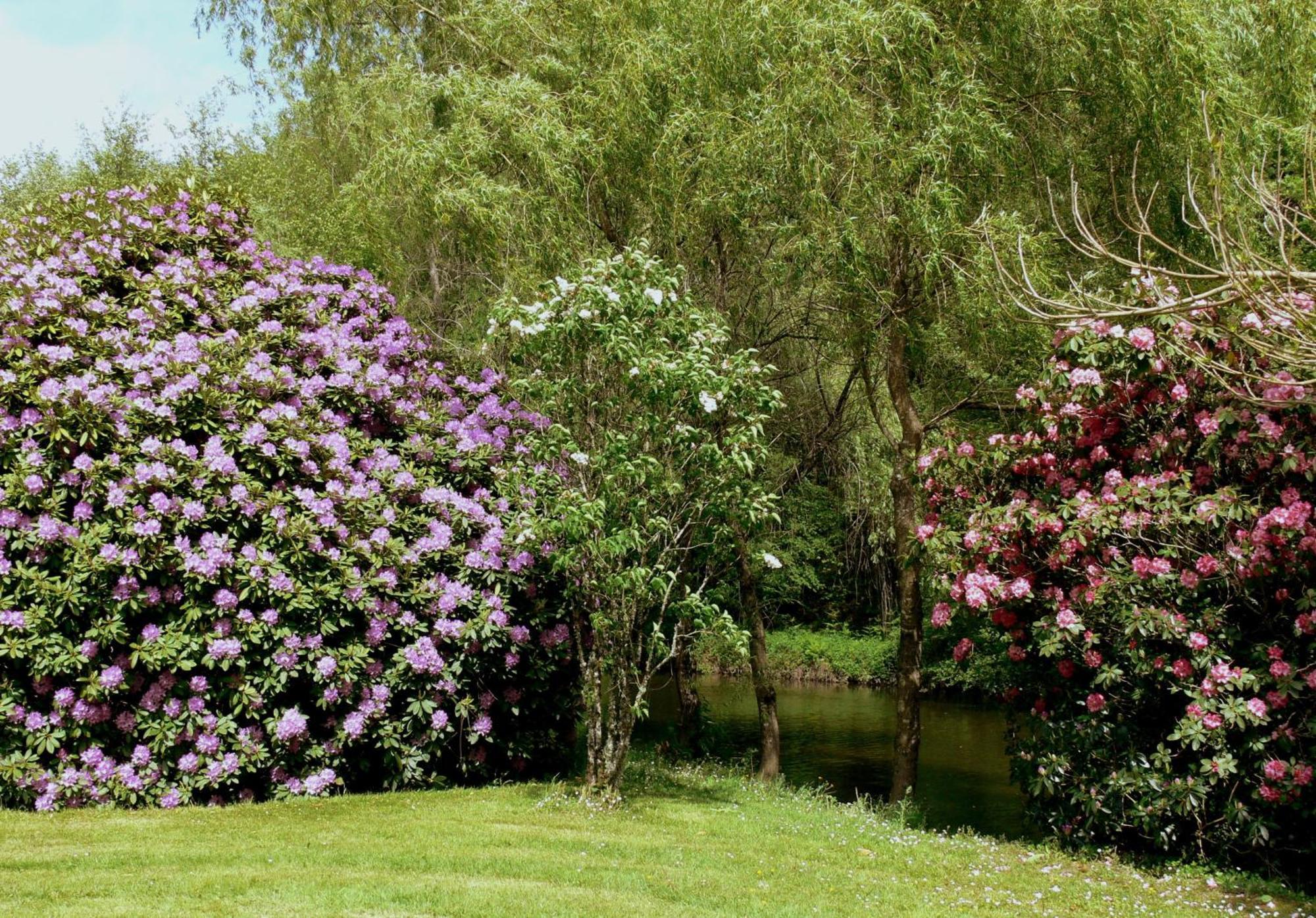 Domaine De La Brugere Bed & Breakfast Nantheuil Exterior photo
